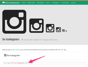 fa-instagram__Font_Awesome_Icons