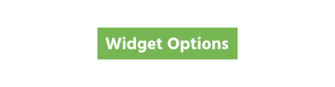widget-options-logo-wordpress-press-avenue