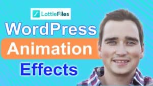 WordPress Animation Effects